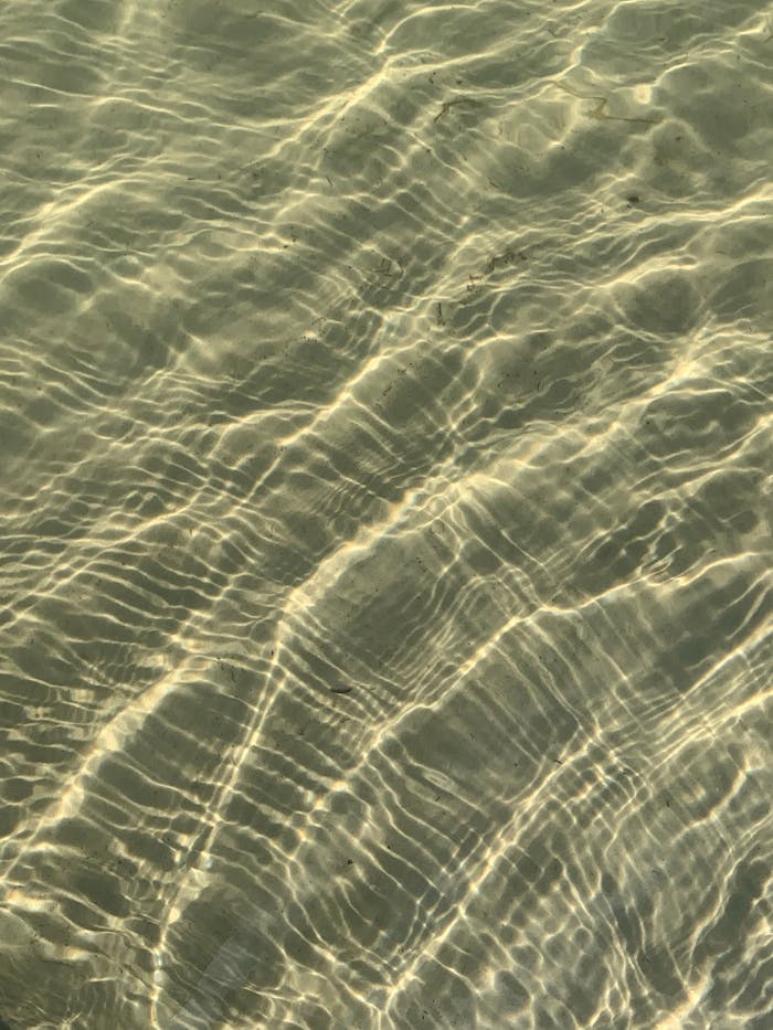 Services Captivating abstract pattern of water ripples with sunlight reflecting on the surface.