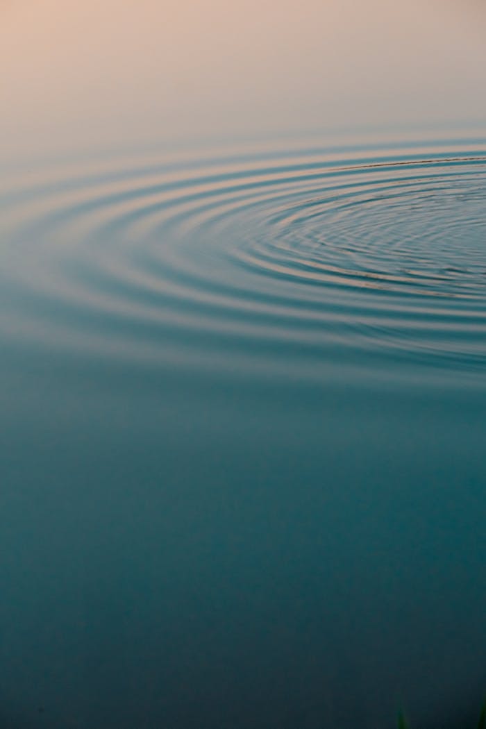 Services Tranquil pond with gentle ripples creating peaceful wave patterns.