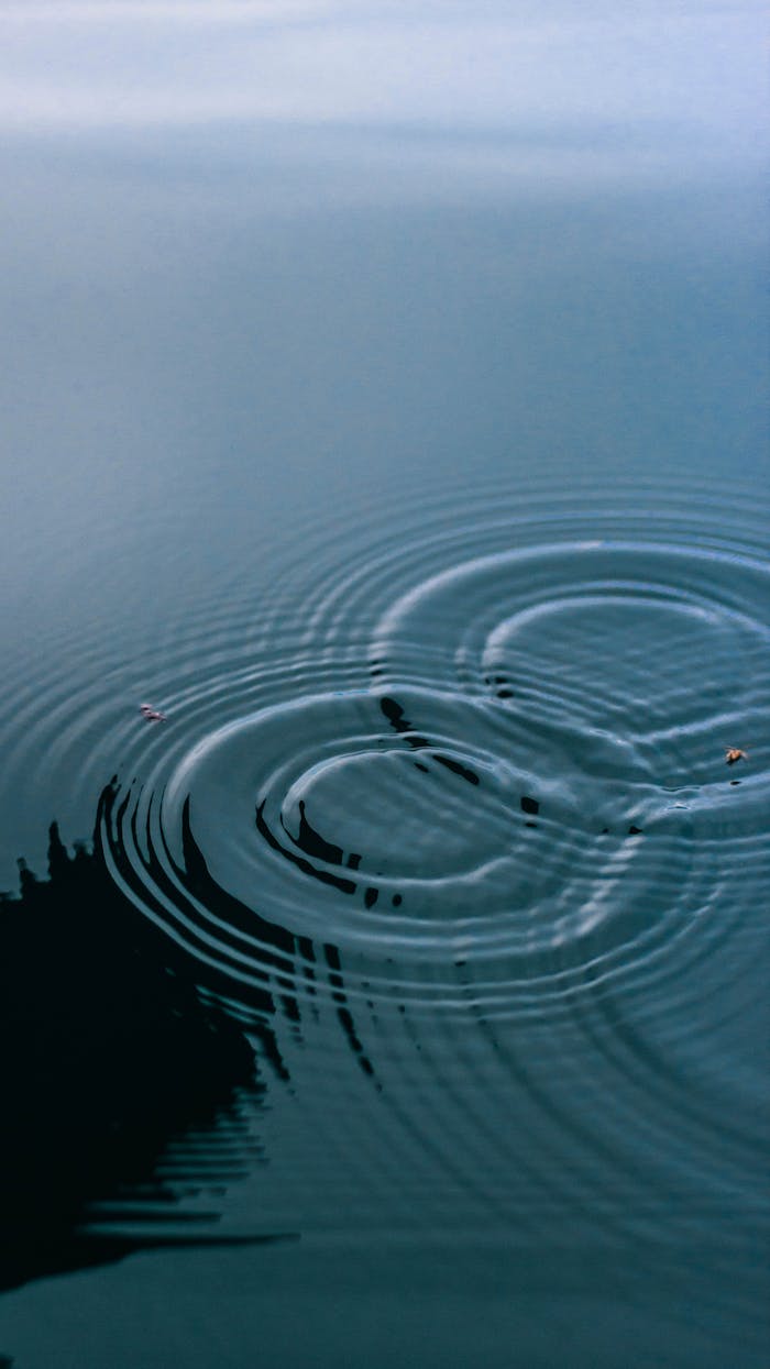 Services Serene image of gentle water ripples creating smooth concentric rings on a tranquil surface.